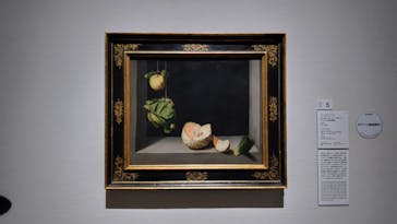 西洋絵画、どこから見るか？―ルネサンスから印象派まで　サンディエゴ美術館 vs 国立西洋美術館に投稿された画像（2025/3/14）