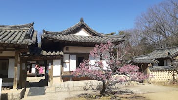 野外民族博物館 リトルワールドに投稿された画像（2025/3/14）