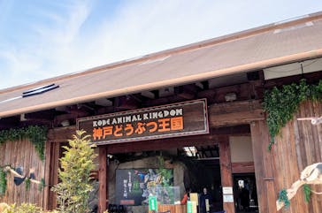 神戸どうぶつ王国に投稿された画像（2025/3/14）