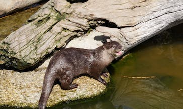 神戸どうぶつ王国に投稿された画像（2025/3/14）