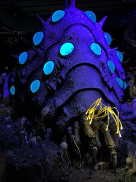 金曜ロードショーとジブリ展　三重展に投稿された画像（2025/3/14）