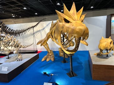 福井県立恐竜博物館に投稿された画像（2025/3/14）