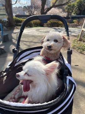 IMMERSIVE JOURNEYに投稿された画像（2025/3/14）