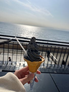 新江ノ島水族館に投稿された画像（2025/3/14）