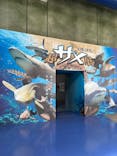 アクアワールド茨城県大洗水族館に投稿された画像（2025/3/14）