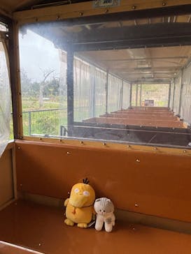 ネオパークオキナワに投稿された画像（2025/3/14）