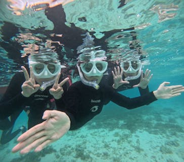  マリンショップHAPPYに投稿された画像（2025/3/14）