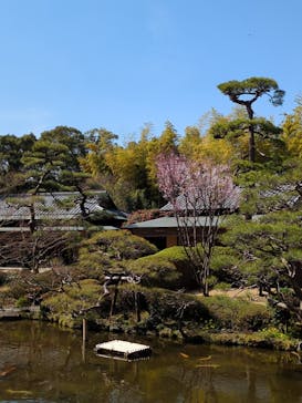 ホテルニューオータニ（東京）に投稿された画像（2025/3/14）