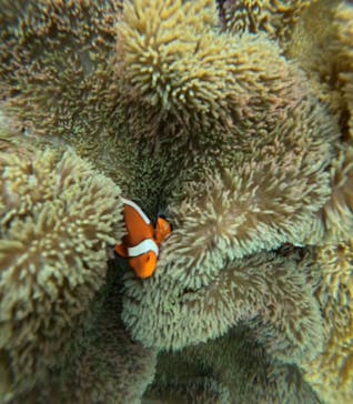 宮古島 ADVENTURE PiPi（ミヤコジマ アドベンチャー ピピ）に投稿された画像（2025/3/14）