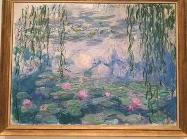 モネ　睡蓮のときに投稿された画像（2025/3/14）