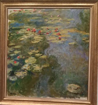 モネ　睡蓮のときに投稿された画像（2025/3/14）