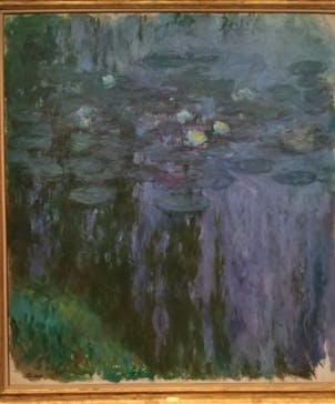 モネ　睡蓮のときに投稿された画像（2025/3/14）