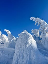 蔵王ロープウェイに投稿された画像（2025/3/14）