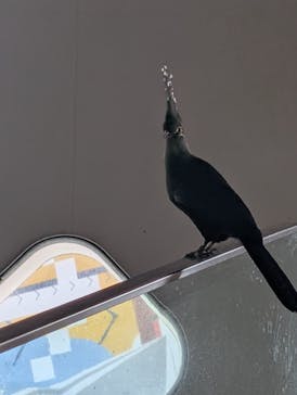 NIFREL（ニフレル）に投稿された画像（2025/3/14）