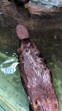 NIFREL（ニフレル）に投稿された画像（2025/3/14）