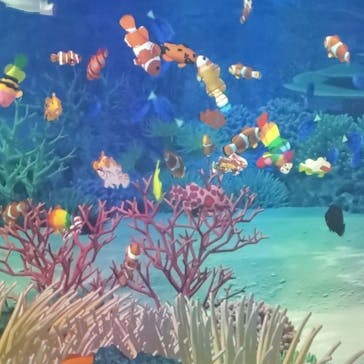 鴨川シーワールドに投稿された画像（2025/3/14）