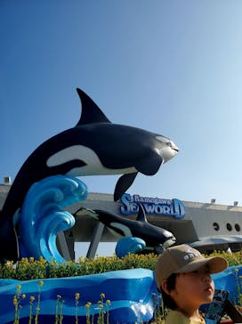 鴨川シーワールドに投稿された画像（2025/3/14）