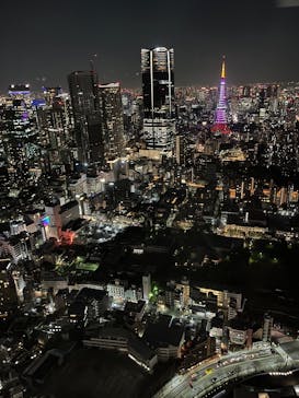 手塚治虫「火の鳥」展－火の鳥は、エントロピー増大と抗う動的平衡＝宇宙生命の象徴－に投稿された画像（2025/3/14）