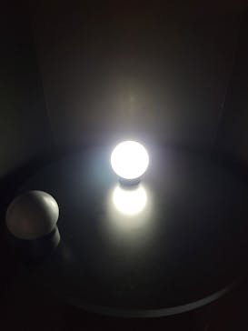 特別展「チ。 ―地球の運動について― 地球(いわ)が動く」に投稿された画像（2025/3/14）