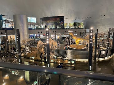 福井県立恐竜博物館に投稿された画像（2025/3/14）
