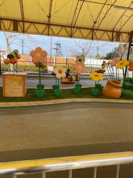 モビリティリゾートもてぎに投稿された画像（2025/3/14）