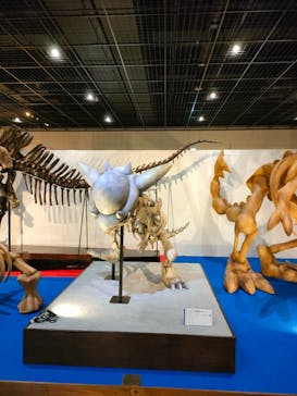 福井県立恐竜博物館に投稿された画像（2025/3/15）