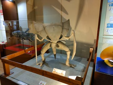 福井県立恐竜博物館に投稿された画像（2025/3/15）