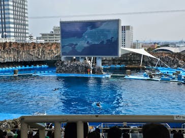 名古屋港水族館に投稿された画像（2025/3/15）