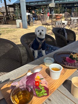 いばらきフラワーパークに投稿された画像（2025/3/15）