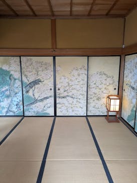 偕楽園本園に投稿された画像（2025/3/15）