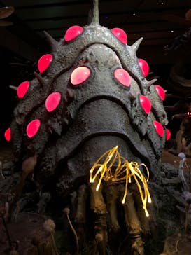 金曜ロードショーとジブリ展　三重展に投稿された画像（2025/3/15）