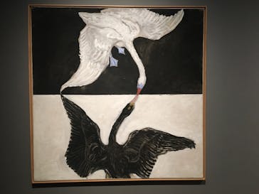 ヒルマ・アフ・クリント展（東京国立近代美術館）に投稿された画像（2025/3/15）