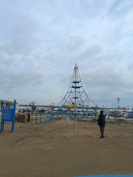 仙台うみの杜水族館に投稿された画像（2025/3/15）