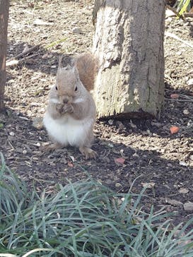 那須どうぶつ王国に投稿された画像（2025/3/15）