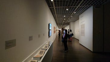 ヒルマ・アフ・クリント展（東京国立近代美術館）に投稿された画像（2025/3/14）