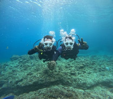 沖縄マリンサービス碧に投稿された画像（2025/3/15）