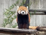 千葉市動物公園に投稿された画像（2025/3/15）