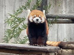 千葉市動物公園に投稿された画像（2025/3/15）