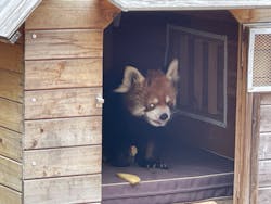 千葉市動物公園に投稿された画像（2025/3/15）