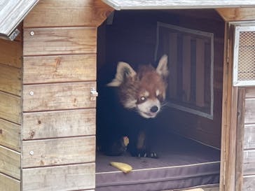 千葉市動物公園に投稿された画像（2025/3/15）