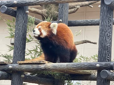 千葉市動物公園に投稿された画像（2025/3/15）