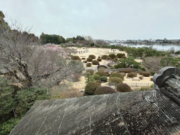 偕楽園本園に投稿された画像（2025/3/15）