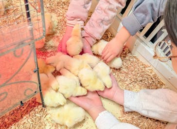 アニタッチ 東京ドームシティに投稿された画像（2025/3/15）