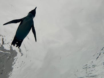 サンシャイン水族館に投稿された画像（2025/3/15）