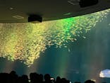 名古屋港水族館に投稿された画像（2025/3/15）