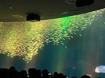名古屋港水族館に投稿された画像（2025/3/15）