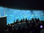 葛西臨海水族園に投稿された画像（2025/3/15）