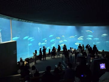 葛西臨海水族園に投稿された画像（2025/3/15）
