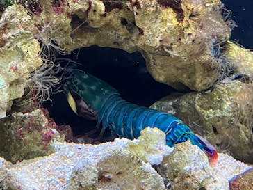 マリンワールド海の中道に投稿された画像（2025/3/15）