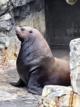 大分マリーンパレス水族館 「うみたまご」に投稿された画像（2025/3/15）